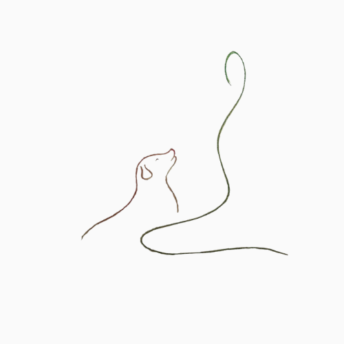 Original drawing supplied by Collective Compassion Nepal